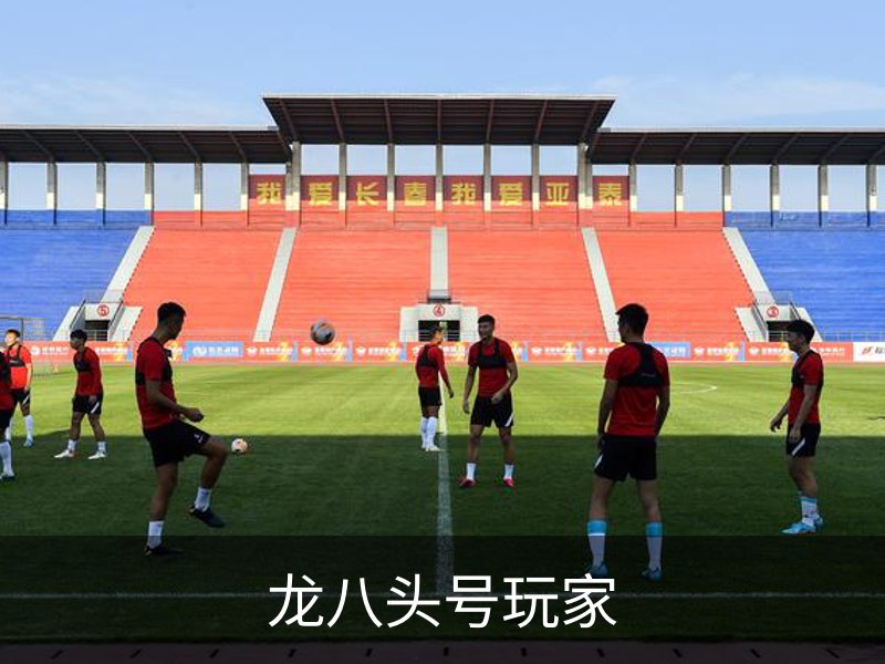 龙八头号玩家概况